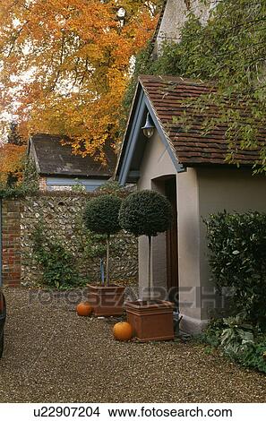 Picture - Clipped box trees in pots in front of porch on traditional house in the country. Fotosearch