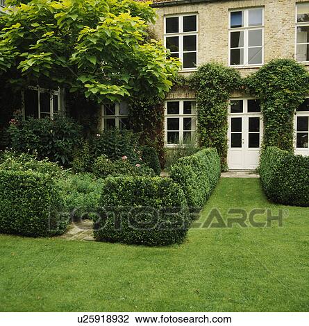 Stock Image - Clipped hedges in formal country garden in summer. Fotosearch