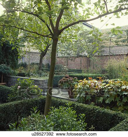 Stock Image - Clipped hedges in formal country garden in summer. Fotosearch