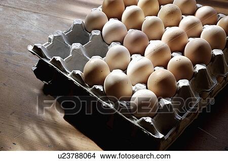 Close-up of a tray of fresh eggs View Large Photo Image Picture - Close-up of a tray of fresh eggs. Fotosearch