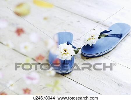Picture - Close-up of blue flip-flops on wooden floor. Fotosearch