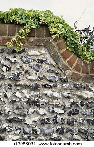 Close up of brick and flint wall with hedera View Large Photo Image Stock Image - Close up of brick and flint wall with hedera. Fotosearch