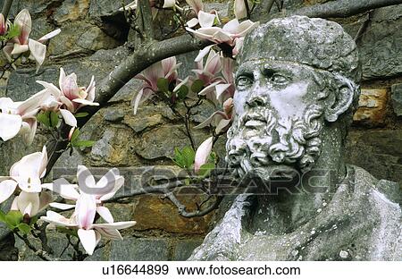 Close-up of classical statues in the garden View Large Photo Image Stock Photo - Close-up of classical statues in the garden. Fotosearch