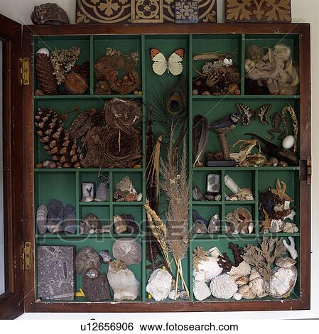 Close-up of collection of found objects in green cube storage box View Large Photo Image Stock Photograph - Close-up of collection of found objects in green cube storage box. Fotosearch