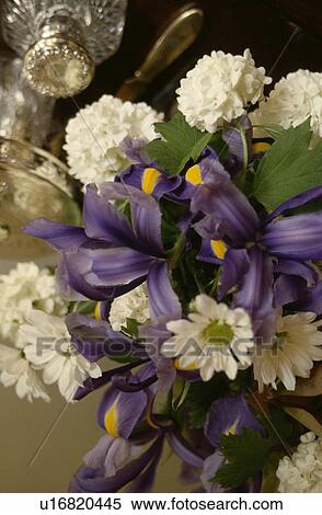 Stock Photography - Close-up of floral arrangement of white daisies and blue irises. Fotosearch