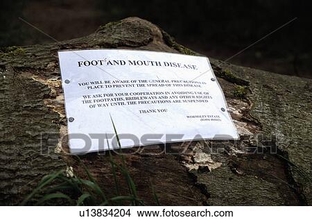 Close-up of Foot+Mouth Disease notice View Large Photo Image Picture - Close-up of Foot+Mouth Disease notice. Fotosearch