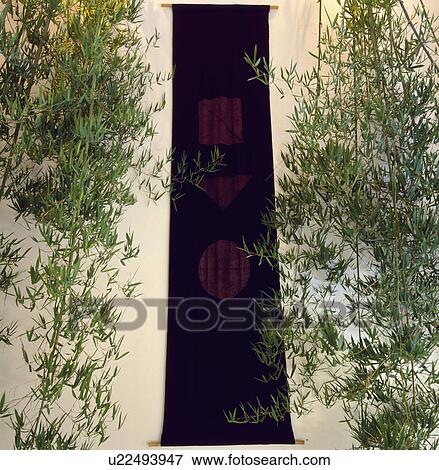 Close-up of large bamboo houseplant on either side of black Japanese wall-hanging View Large Photo Image Stock Photo - Close-up of large bamboo houseplant on either side of black Japanese wall-hanging. Fotosearch