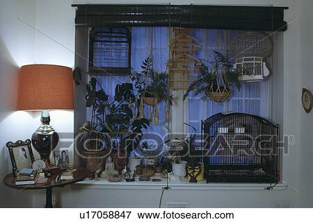 Stock Photo - Close-up of lighted lamp and collection of birdcages on window. Fotosearch