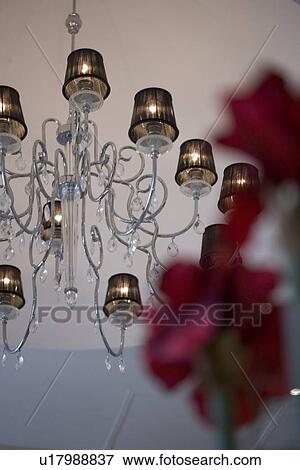 Stock Photo - Close-up of modern stainless steel chandelier with brown lampshades. Fotosearch