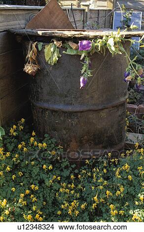 Close-up of old metal compost bin View Large Photo Image Picture - Close-up of old metal compost bin. Fotosearch