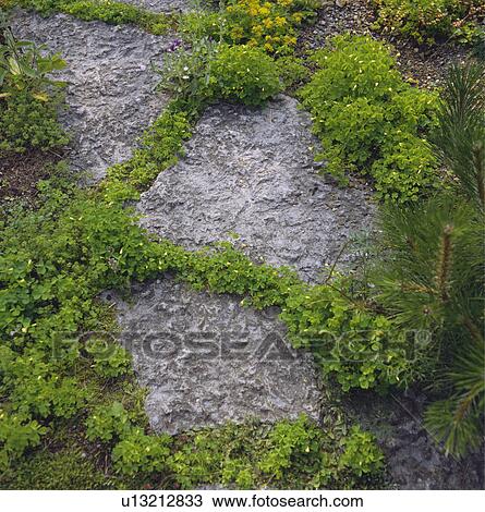 Stock Image - Close-up of rough stone paving. Fotosearch