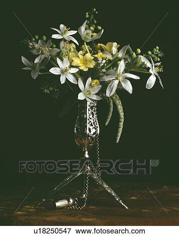Stock Photo - Close-up of Spring floral arrangement of yellow primroses and white clematis montana in small silv er stemmed vase. Fotosearch