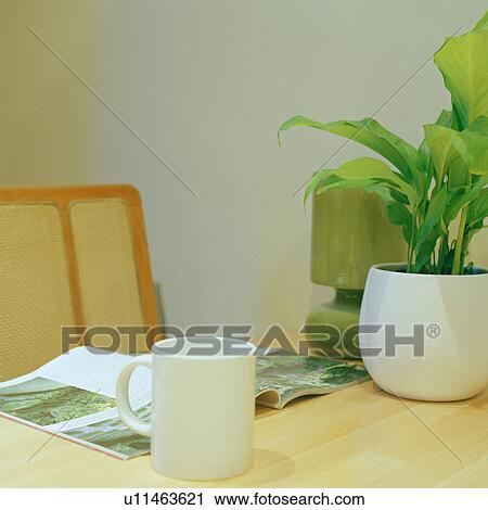 Close up of white cup and green houseplant on table View Large Photo Image Stock Image - Close up of white cup and green houseplant on table. Fotosearch
