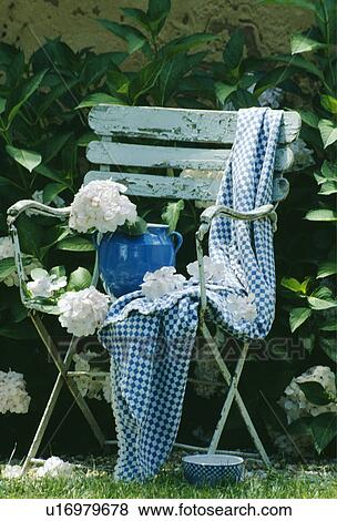 Stock Photo - Close-up of white flowers and jug. Fotosearch
