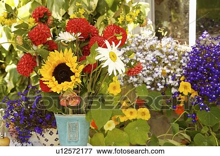 Stock Photo - Close-up of yellow sunflowers and red dahlias in vase . Fotosearch