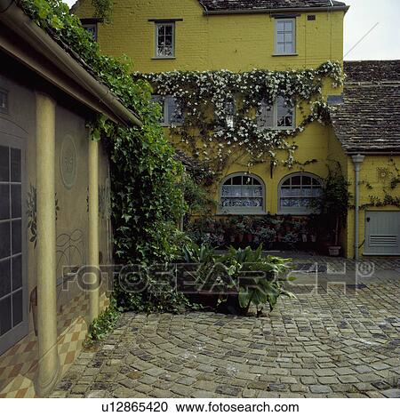 Cobbled courtyard with yellow washed walls with clematis and birds foot ivy. View Large Photo Image Stock Image - Cobbled courtyard with yellow washed walls with clematis and birds foot ivy.. Fotosearch