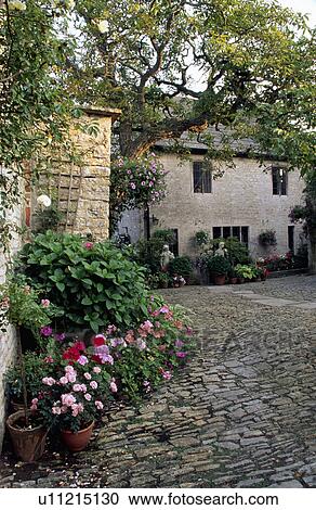 Colourful annuals in pots on paved courtyard in front of traditional country house View Large Photo Image Stock Image - Colourful annuals in pots on paved courtyard in front of traditional country house. Fotosearch