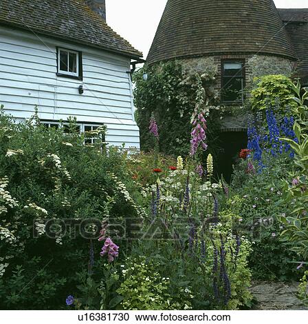 Colourful flowering plants in garden of country house in summer View Large Photo Image Stock Image - Colourful flowering plants in garden of country house in summer. Fotosearch