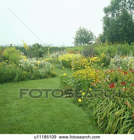 Colourful flowering plants in herbaceous bordes in large country garden in summer View Large Photo Image Stock Photo - Colourful flowering plants in herbaceous bordes in large country garden in summer. Fotosearch