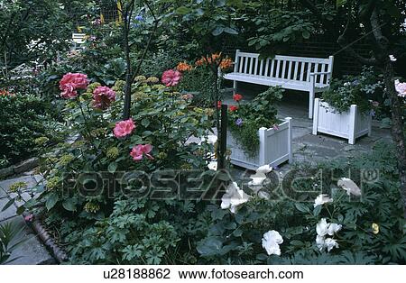 Stock Image - Colourful small town garden in summer. Fotosearch