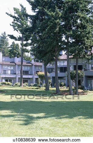 Stock Photo - Conifer trees on lawn in front of country apartment building. Fotosearch