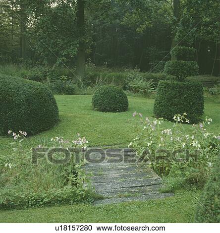 Counrty garden with plank bridge, topiary and woodland View Large Photo Image Stock Image - Counrty garden with plank bridge, topiary and woodland. Fotosearch