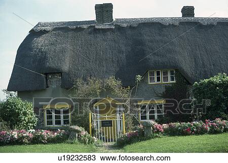 Country cottage with thatched roof and yellow gate and paintwork View Large Photo Image Stock Image - Country cottage with thatched roof and yellow gate and paintwork. Fotosearch