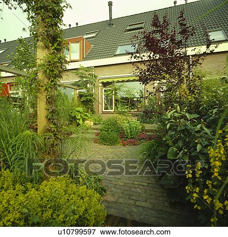 Stock Photo - Courtyard with granite sets with small beds of evergreen bamboos and groundcover&#13; &#10;. Fotosearch