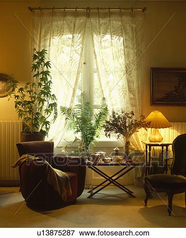 Stock Photo - Cream lace curtains on window. Fotosearch