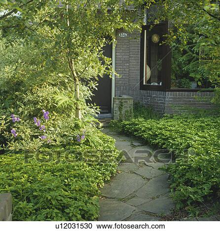 Curved paved path through shrubs in small green town garden with underplanting below small tree View Large Photo Image Stock Image - Curved paved path through shrubs in small green town garden with underplanting below small tree. Fotosearch