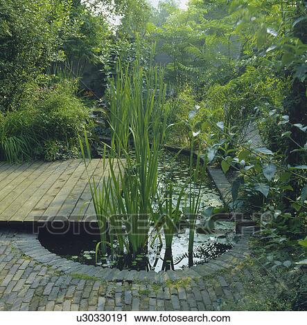 Decking and brick paving beside pond in country garden View Large Photo Image Stock Image - Decking and brick paving beside pond in country garden. Fotosearch