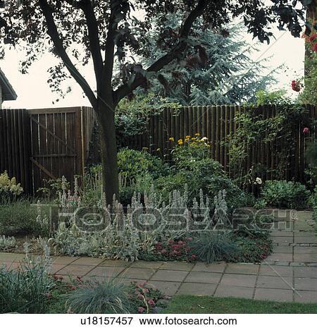 Stock Photo - Fence in green country garden in summer. Fotosearch