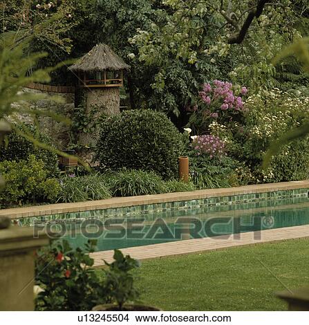 Flowering shrubs beside narrow swimmingpool View Large Photo Image Picture - Flowering shrubs beside narrow swimmingpool. Fotosearch