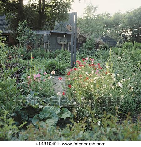 Stock Image - Flowers and vegetables in large country garden in summer. Fotosearch