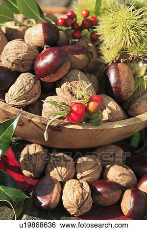 food, fruit, harvest View Large Photo Image Stock Photograph - food, fruit, harvest. Fotosearch