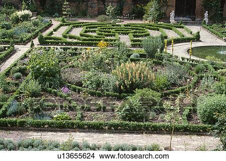 Picture - Formal knot garden. Fotosearch