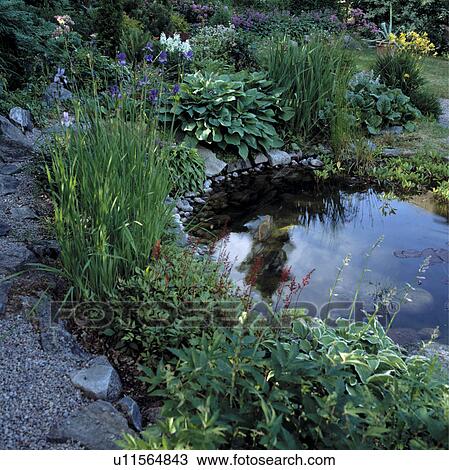 Stock Image - Garden Pond. Fotosearch