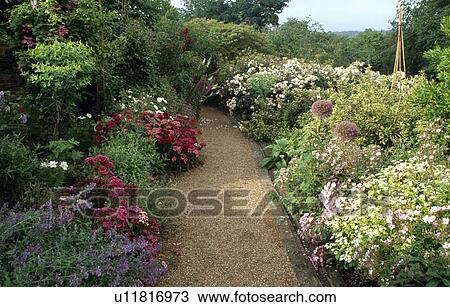 Stock Image - Gravel path through colourful herbaceous borders in large country garden in summer. Fotosearch