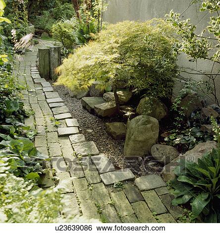 Green acer and large stones beside paved path in town garden View Large Photo Image Stock Photograph - Green acer and large stones beside paved path in town garden. Fotosearch