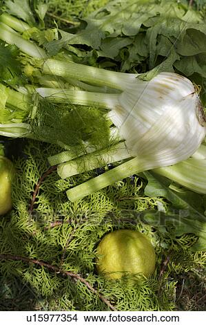 green, vegetable, food View Large Photo Image Picture - green, vegetable, food. Fotosearch