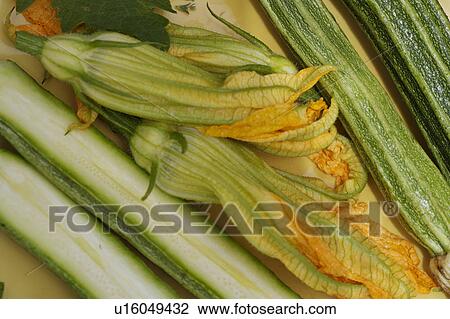 green, yellow, orange, vegetable, food View Large Photo Image Stock Image - green, yellow, orange, vegetable, food. Fotosearch