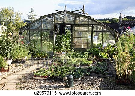 Stock Photography - Greenhouse in country garden. Fotosearch
