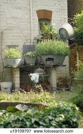Stock Photo - Herbs growing in old galvanized baths against back wall of house. Fotosearch