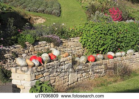 Stock Photo - hillside, stone, walls, vegetables, gardens. Fotosearch