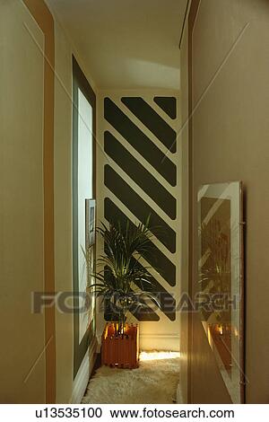Houseplant in front of black and white wall in apartment hall View Large Photo Image Stock Image - Houseplant in front of black and white wall in apartment hall. Fotosearch