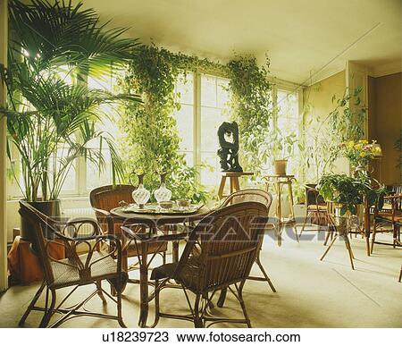 Stock Image - Houseplants in living room with wicker furniture. Fotosearch
