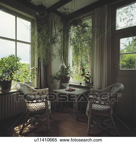Houseplants in living room with wicker armchairs View Large Photo Image Stock Photography - Houseplants in living room with wicker armchairs. Fotosearch