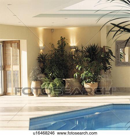 Houseplants in modern indoor swimming pool View Large Photo Image Stock Photograph - Houseplants in modern indoor swimming pool. Fotosearch