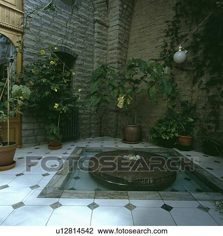 houseplants, interior, conservatory, conservatories, hr 563, architectural, interiors View Large Photo Image Stock Image - houseplants, interior, conservatory, conservatories, hr 563, architectural, interiors. Fotosearch