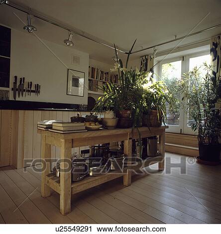 houseplants, interior, islands, kitchens, interiors View Large Photo Image Stock Image - houseplants, interior, islands, kitchens, interiors . Fotosearch